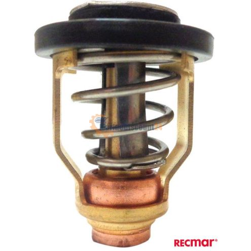 Thermostat 67F-12411-01