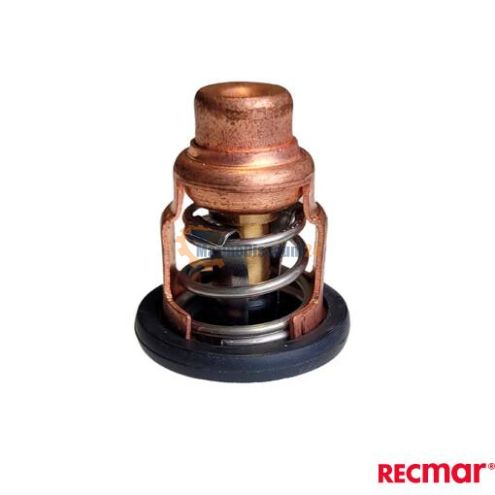 Termostato 6E5-12411-30
