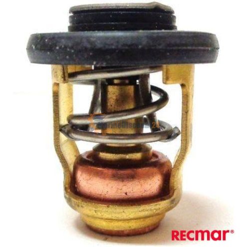 Kit thermostat 6H3-12411-10