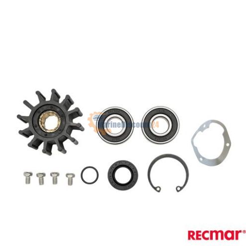 Kit de reparación de bombas 794