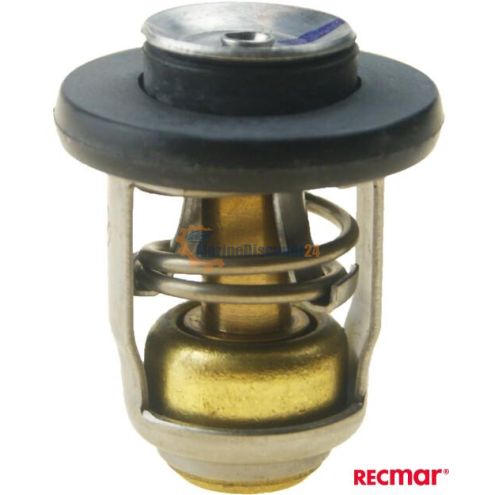 Thermostat 60º