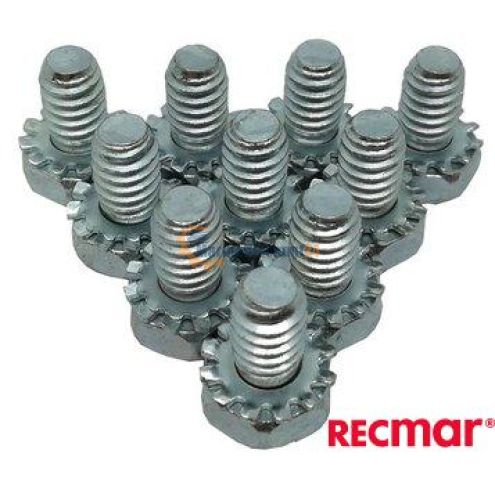 Vite: copertura dentata 859021