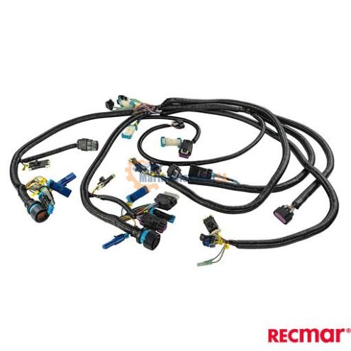 Conjunto de mazo de cables del motor, comando dual Mercruiser 893378A02