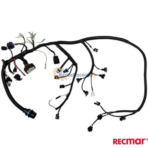 Mazo de cables principal del motor 40/50/60 CV Mercruiser 8M0044999