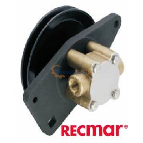 Water pump G8002 Westerbeke G8002