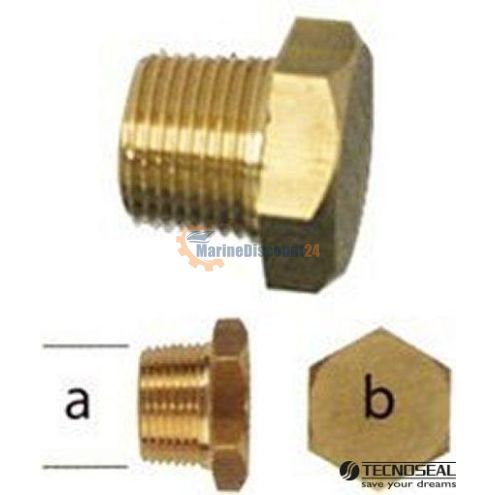 Tapones para Yanmar 01318TP