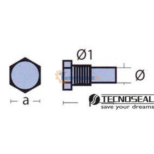 Anodi con tappi serie caldaia ¼ Bspt 01452