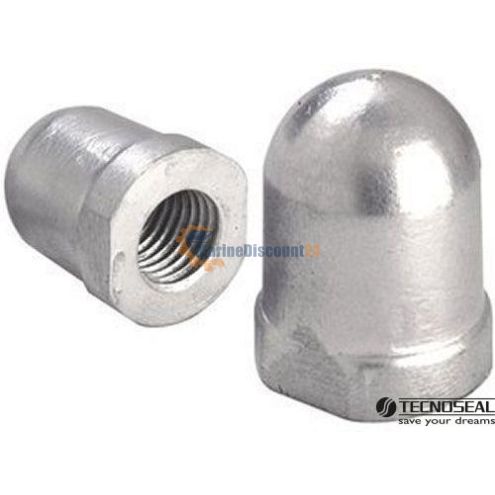 Anode Renault 22-25 mm.