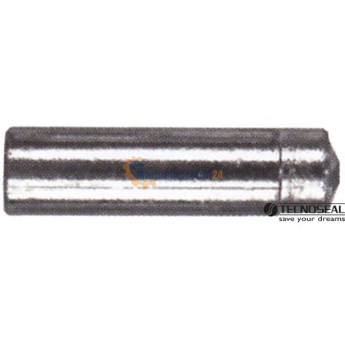 Anode Lombardini 02353